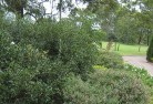 Huskissonresidential-landscaping-35.jpg; ?>