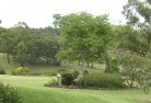 Huskissonresidential-landscaping-40.jpg; ?>